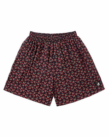 Boxers Geometric