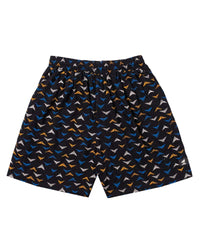 Boxers Geometric