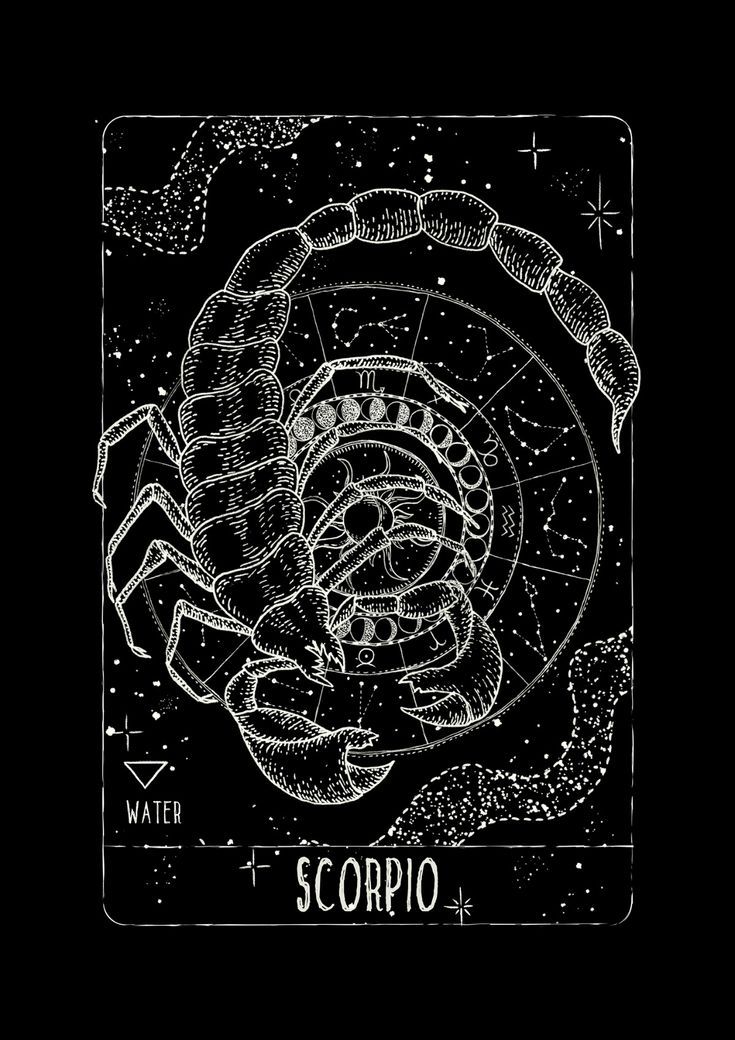 FO Scorpio Constellation Drop Shoulder Tee