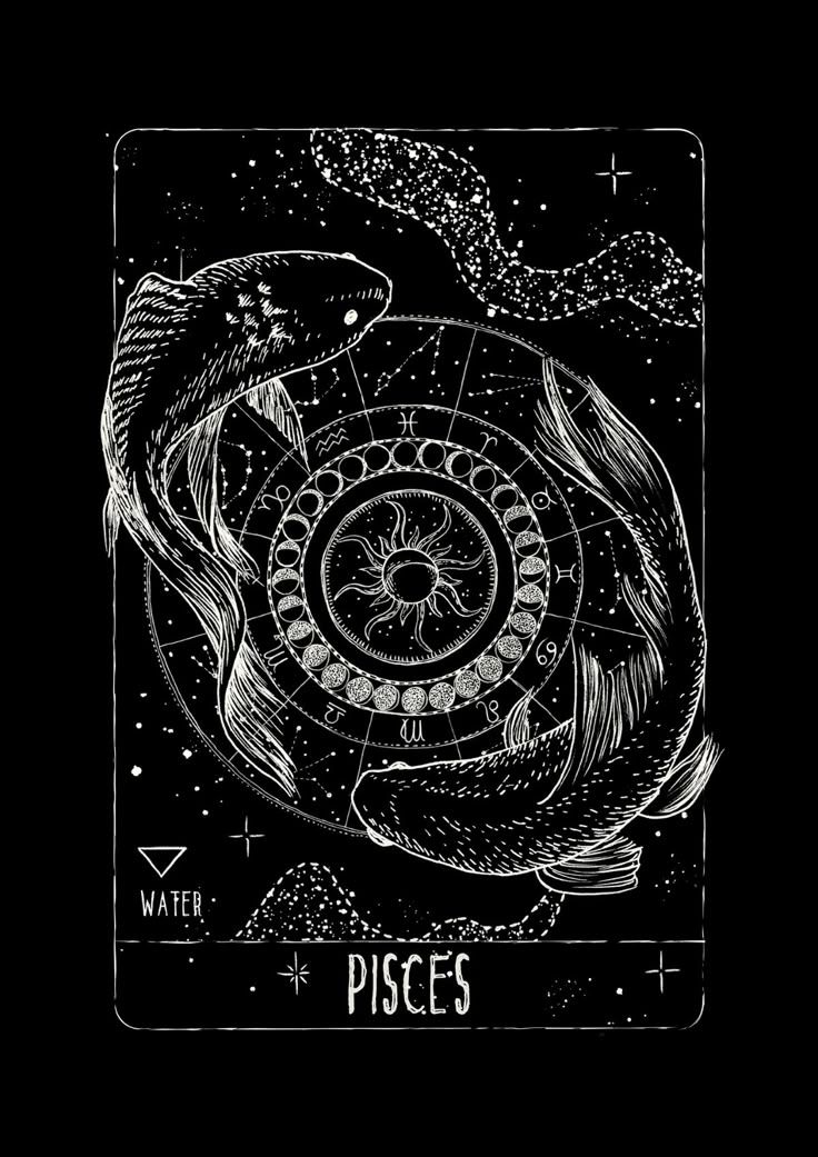 FO Pisces Constellation Drop Shoulder Tee